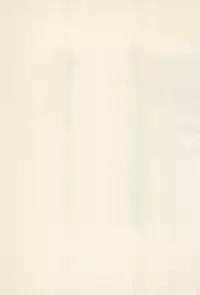 (Puniket 4) [Patio☆Canvas (Akira Hajime)] Roko to Kana no Houkago no Kiki (Tottoko Hamtaro)