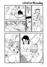 [Kaimeiji Yu] Volunteer Breeding