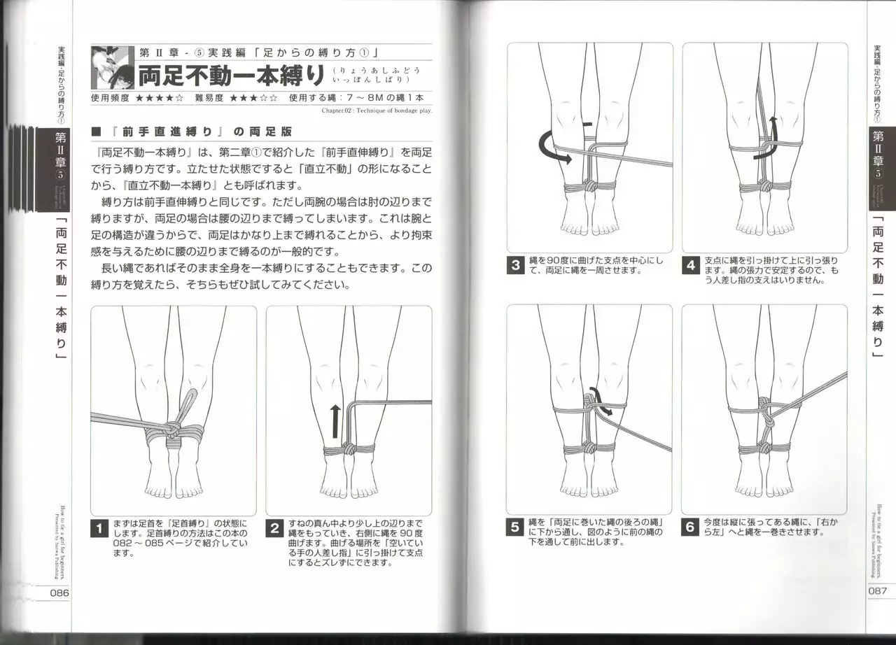 Now you can do it! Illustrated Tied How to Manual