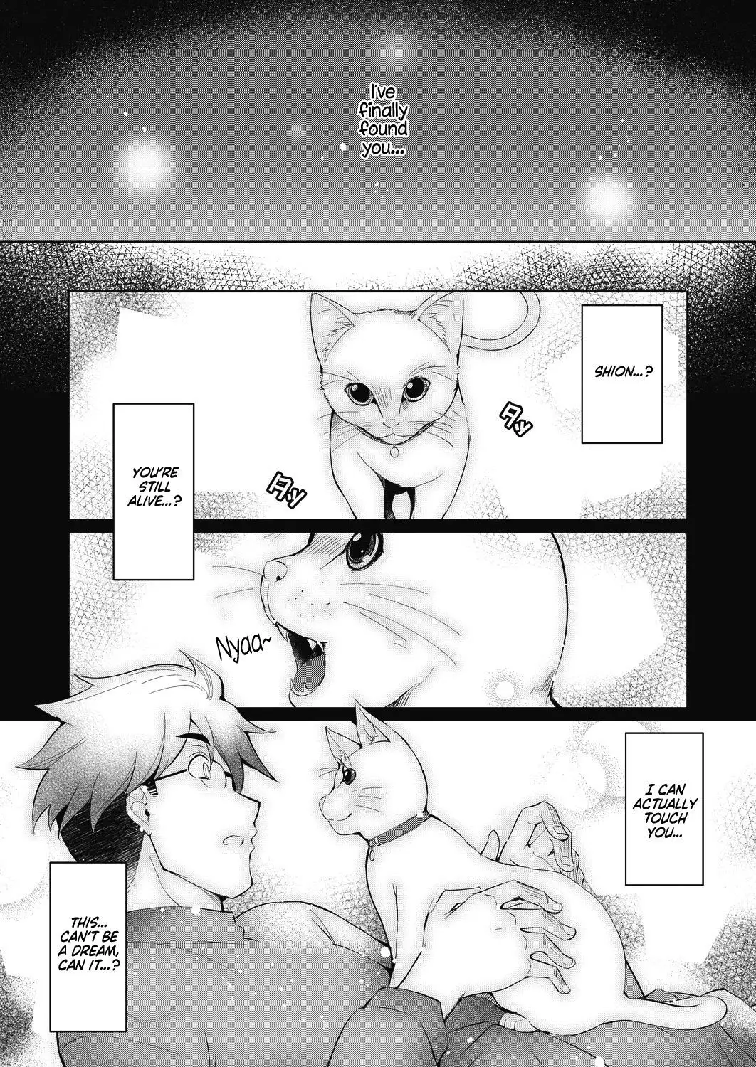 Shion no Hana | Flowers for Shion