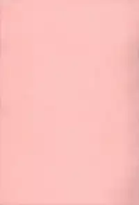 [Shinobu Tanei] Nedari Midara