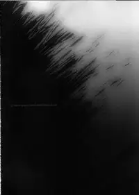 (C66) [Galaxist, Synthetic Garden (Various)] GreenPapper and RedChelisauce (Final Fantasy XI)