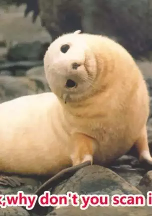 Ecchi Sketch Ro Ona Uchi. Soushuuhen