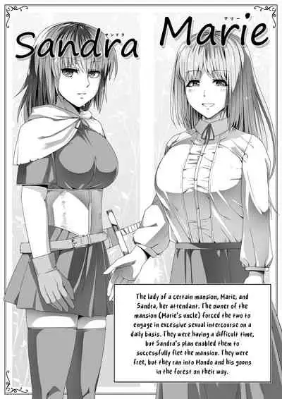 [Road=Road=] Chikara Aru Succubus wa Seiyoku o Mitashitai dake. 6 [English] {HMC Translation}