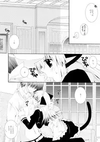 (C77) [Neko Kinryouku (NekoNeko)] Koneko no Gohoushi