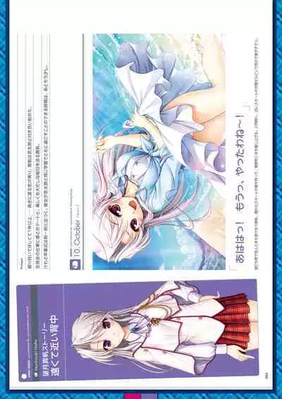 Daitoshokan no Hitsujikai Visual Fan Book Houkago Shippo Days & Dreaming Sheep Visual Fan Book