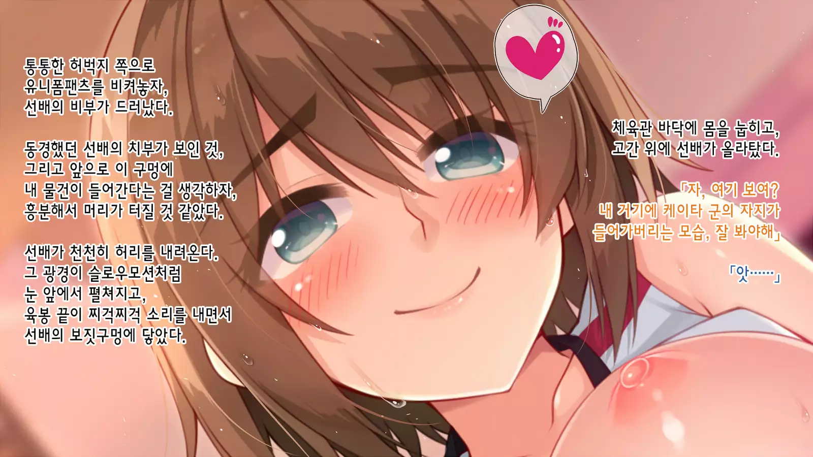 Akuma no Memochou ～Chicken-kun, Haikyuu Shoujo to Yume o Miru～