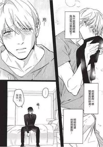 Chihireru Kubiwa | 碎裂的项圈