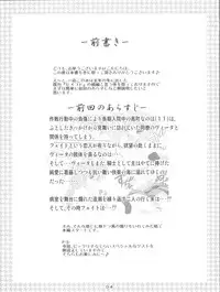 (C74) [Kuchiki no Uro (Enma Koorogi)] MiDaReGoTo (Mahou Shoujo Lyrical Nanoha)