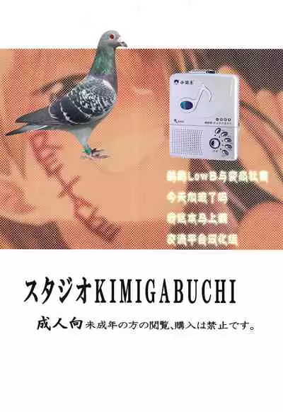 [Shimajiya (Shimaji)] Junjou JS Hikari-chan to Love Hame shichaimashita (Shimajiya Sousaku Tanpen Soushuuhen) [Chinese] [鸽鹉LowB与变态社畜今天加班了吗我这本马上翻交流平台汉化组] [Digital]