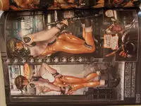 masamune shirow w tails cat 1