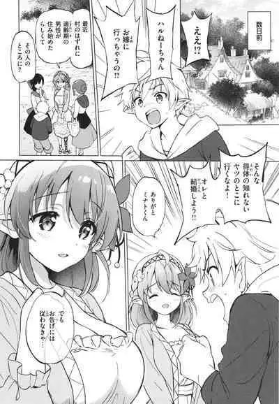 Mitsugetsu Paradise - Honeymoon Paradise