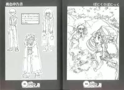 桃色申告書 ver.MILLENNIUM FALCON