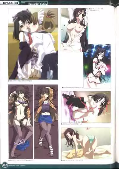 Cross Days Visual Fan Book