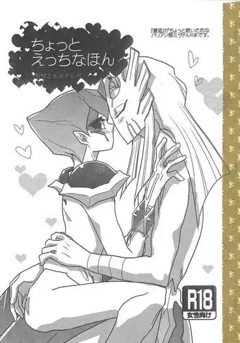 Chotto etchina hon