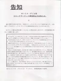 (C47) [MICA (Various)] ACTIVE PEACH FINAL