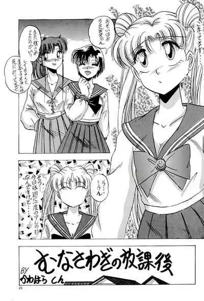 (C44) [M.C.B (Various)] Tsuki no Ura no Labyrinth (Sailor Moon)