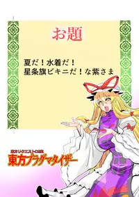 Touhou Pragmatizer 33