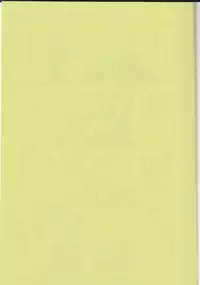 (HaruCC18) [Usagi paradise (Misa)] Hajimete no Natsu. ~The First Summer~ (The Legend of Zelda: Skyward Sword) [English] [morphult]