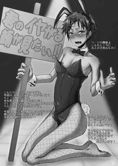 Kimi no Iya Garu Kao ga Mitai!!