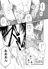 (CR23) [METAL (Various)] Rougetsu Toshi - Misty Moon Metropolis COMIC BOOK VIII