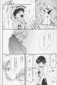 (C77) [RAYTREC (Fuyunagi Reku)] +PLUS (Neon Genesis Evangelion)