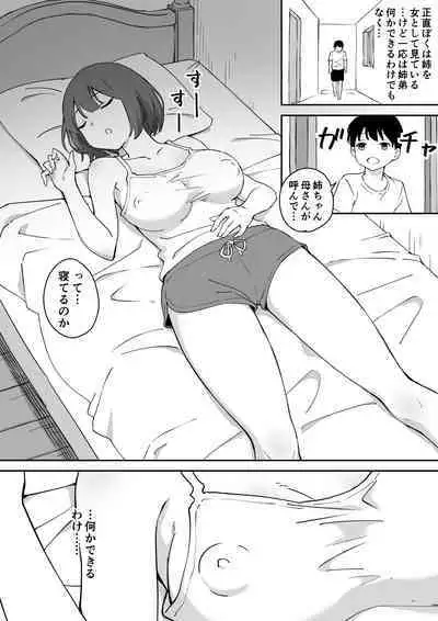 [同人漫画研究所]親の再婚で出来た姉があまりに無防備だったので、とりあえず犯してみた。