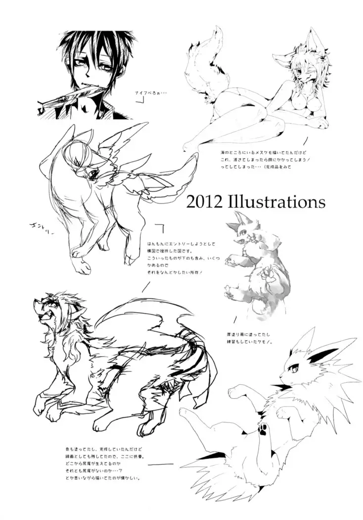 Apocalypse 4 Years 2010-2013