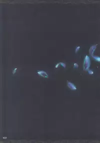 (C90) [Chocolate Shop (CHOCO)] Shuumatsu no Hi Hanare de Hitotsu ni. (Odin Sphere) [English] [shakuganexa]