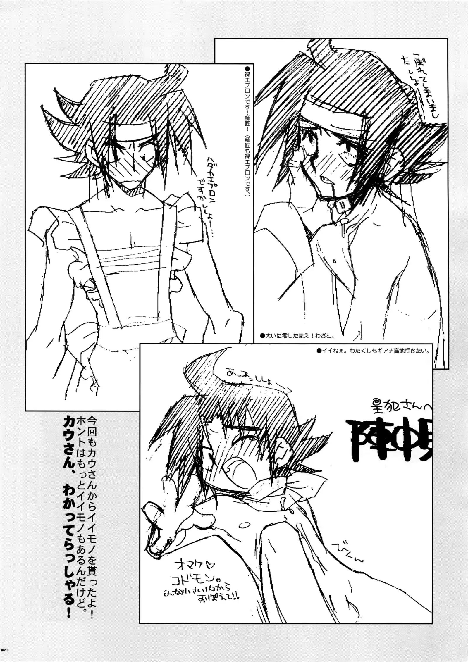 G-gan Josei-Muke Sairoku-Shuu