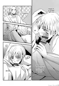 (SPARK5) [Dolce Einsatz (Tomoe Kiko)] NO MORE FUTURE (Hetalia: Axis Powers) [English] [Sugar Parade]