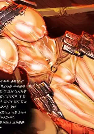 Sengoku Zankoku Emaki Sono Ichi 전국잔혹이야기