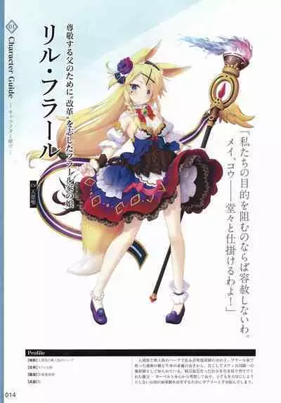 Amayui Labyrinth Meister Perfect Guidebook