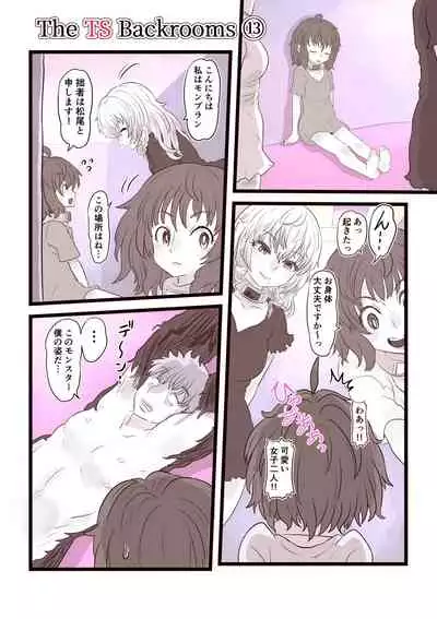 The Ts Backrooms Level 0