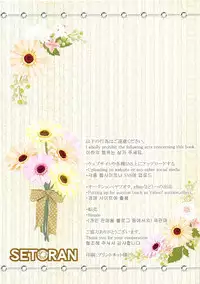 (C95) [Setoran (Itou Seto, Tanno Ran)] Joushiki Kaihen Youkoso Touhou Kissa e! (Touhou Project)