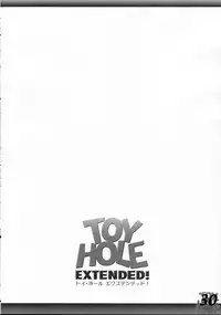 (C69) [AskRay (Bosshi)] TOY HOLE EXTENDED!