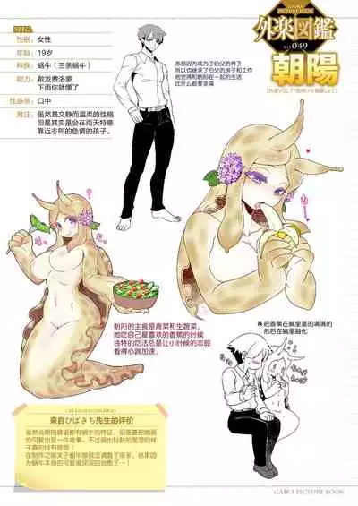 Ameake no Asagao | 雨晴后的牵牛花