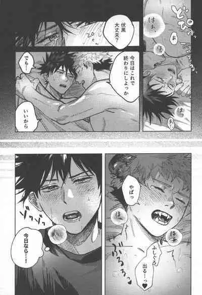 Tora no koubi wa 2 nichi de 100 kai