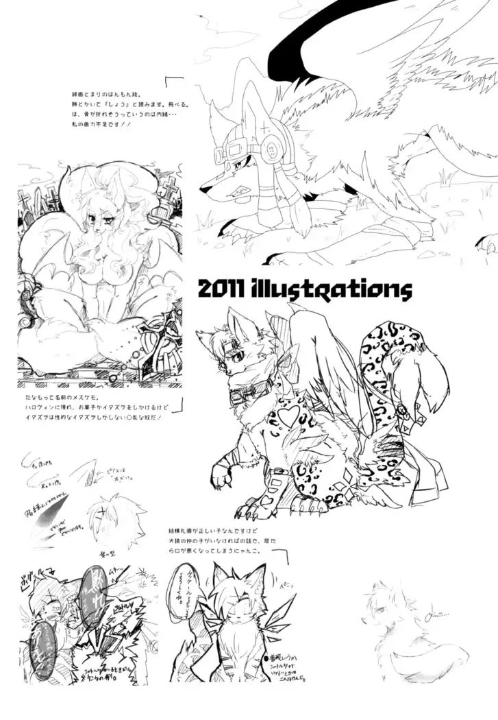 Apocalypse 4 Years 2010-2013