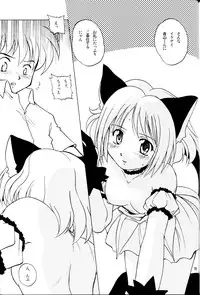 (C62) [Shiokonbu Project (Osamada Meika)] Milk Tappuri Ichigo ni Kiss (Tokyo Mew Mew)