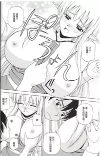 (C74) [G-Scan Corp. (Satou Chagashi)] Le beau maitre 4 (Zero no Tsukaima) [Chinese] [最愛路易絲澪漢化組]