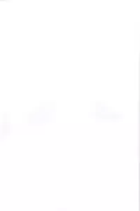 (C92) [Shimapanicecandy (Kijinaka Mahiro)] Murasaki Neko Yukari (Kirakira PreCure a la Mode)