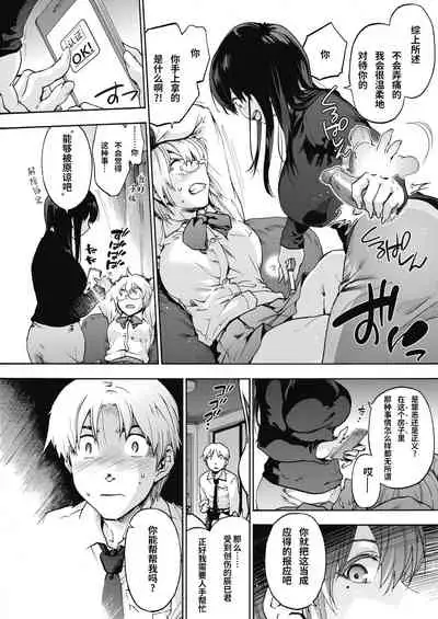 Harem cult | 后宫狂热