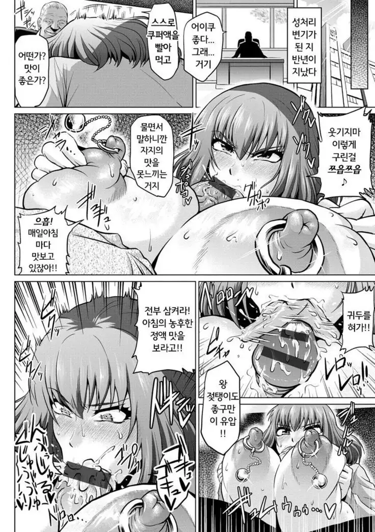 Seitokaichou, Ochiru | 학생회장, 타락하다