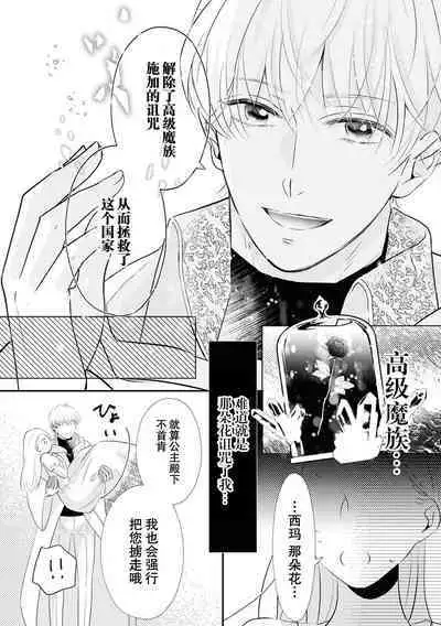 Tsukai ma wa hime dake o nemurasenai | 使魔不让公主入睡