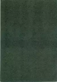 (C72) [VENOM (Alto Seneka, Rusty Soul)] Kyou Hime Ma Hime (Code Geass: Lelouch of the Rebellion)