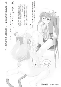 (Reitaisai 4) [Yuzu_momo Jam (Yuzu Momo)] Tanoshii Petto no Shitsukekata (Touhou Project)