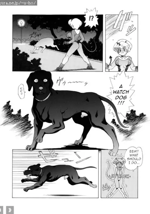 Chris no Himitsu Nikki 2 | Chris' Secret Diary 2