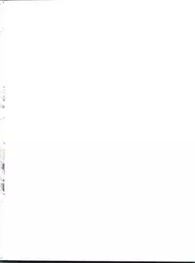 Nemuri Hime | Sleeping Princess