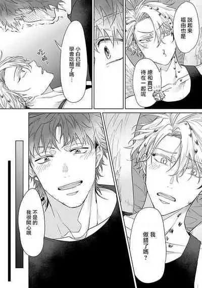 Fukurou no Koiwazurai | 猫头鹰的相思病